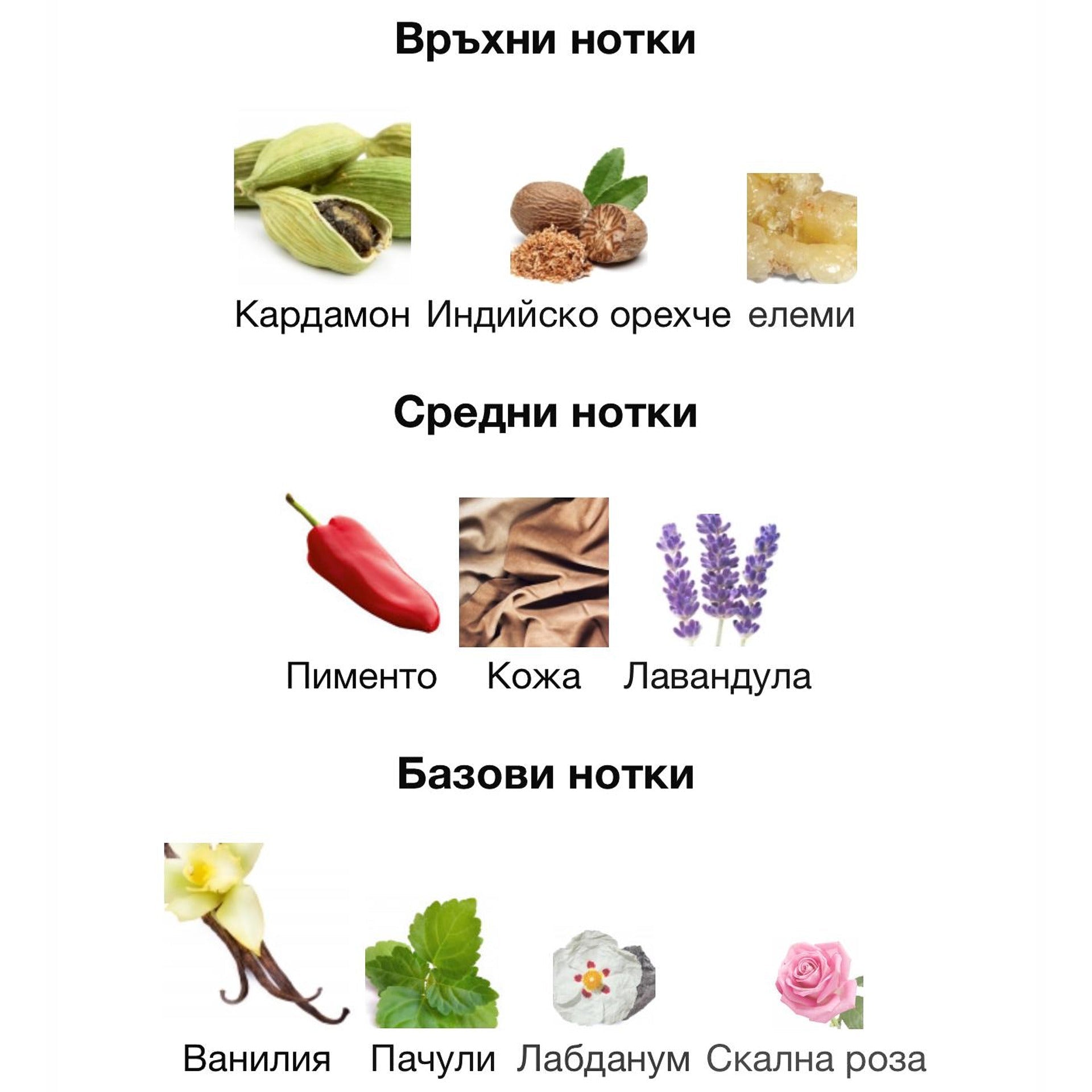 Afnan 9pm Elixir EDP 100 мл. – оригинален парфюм, продуктова снимка 5