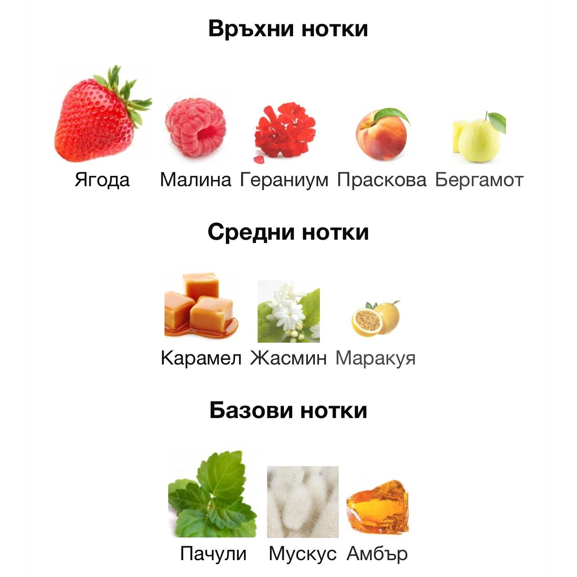 Armaf Odyssey Candee EDP 100 мл. – оригинален парфюм, продуктова снимка 3
