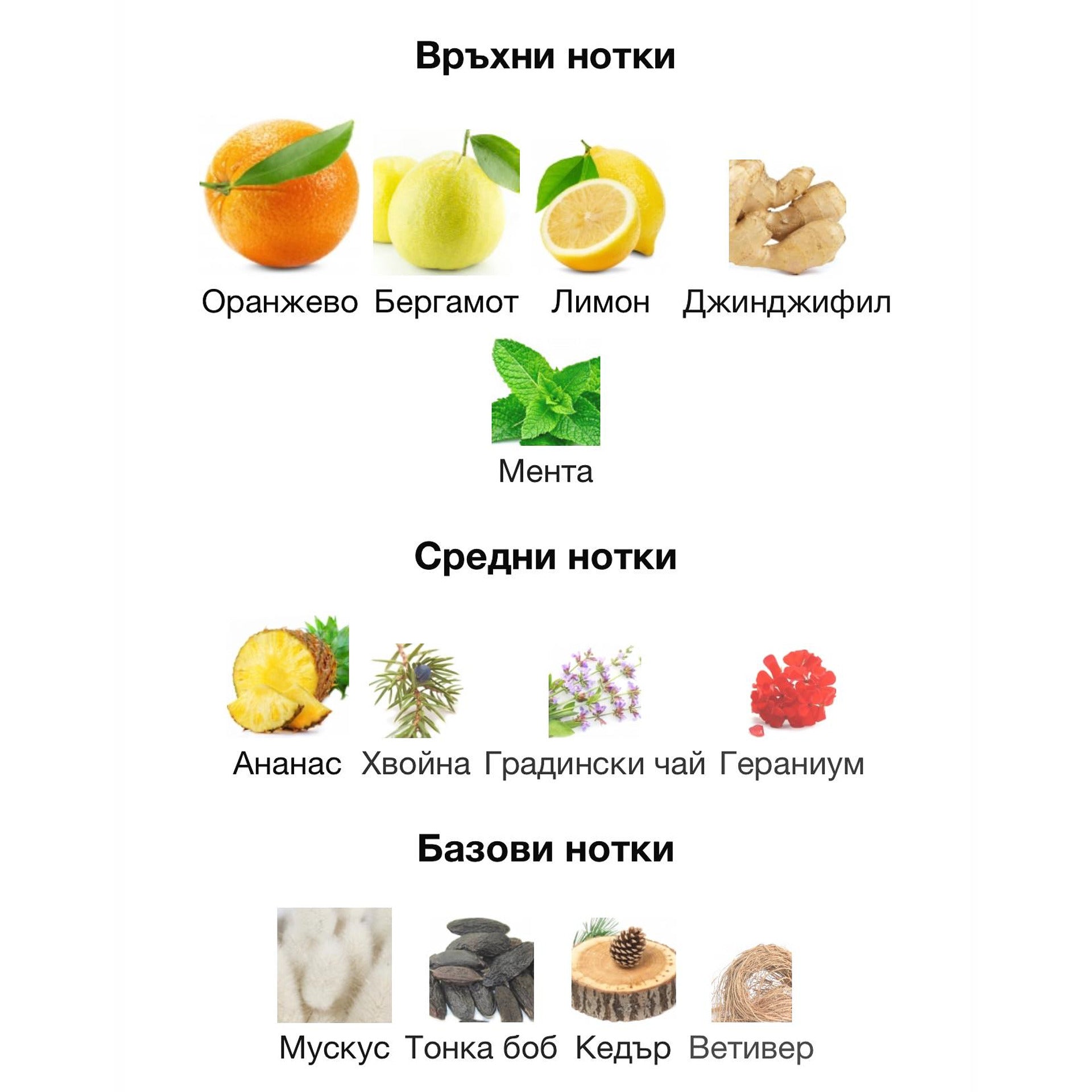 Armaf Odyssey Mega EDP 100мл. – Armaf, мъжки аромат, Aroma Viva