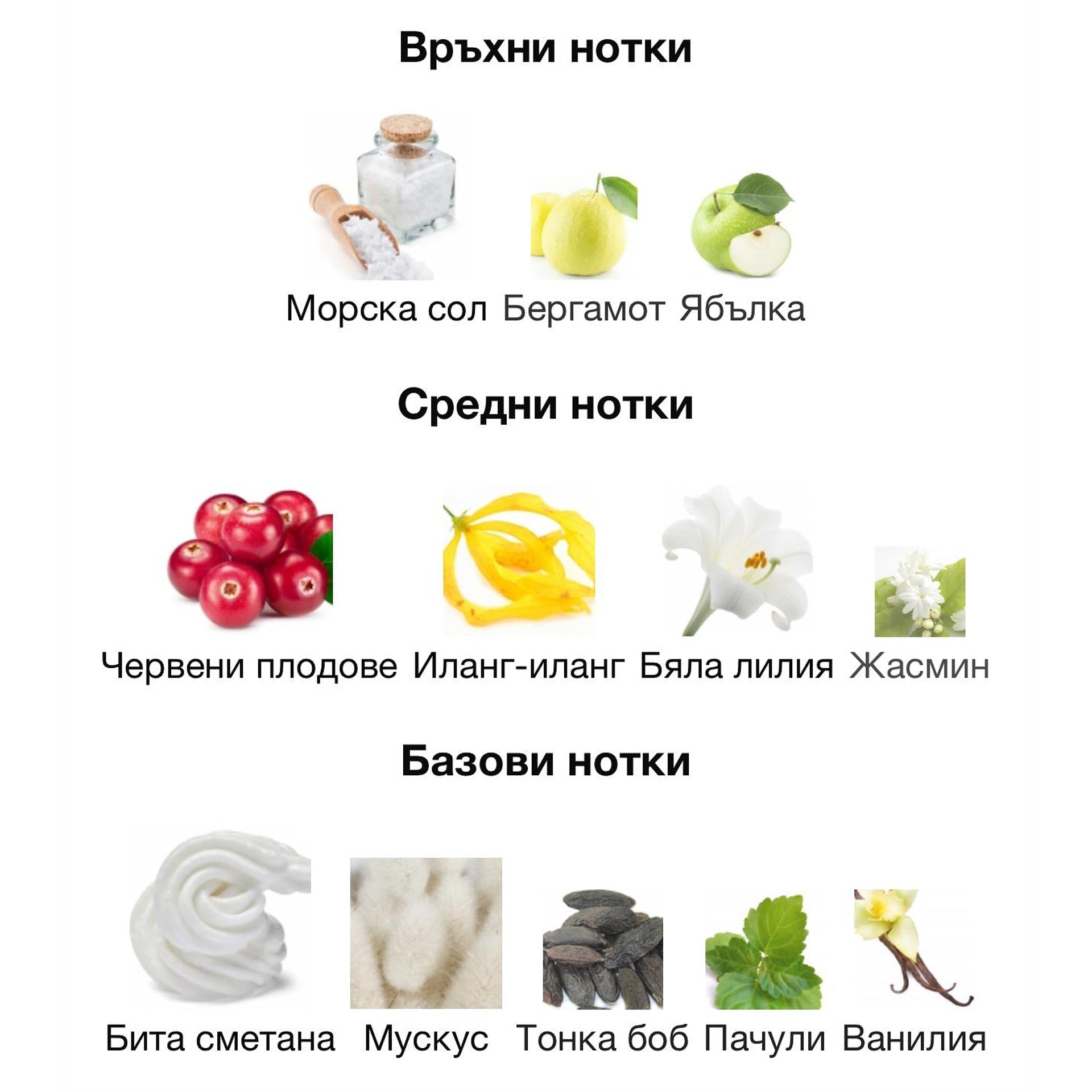 Armaf Prexieux IV ExDP 55 мл. – оригинален парфюм, продуктова снимка 3
