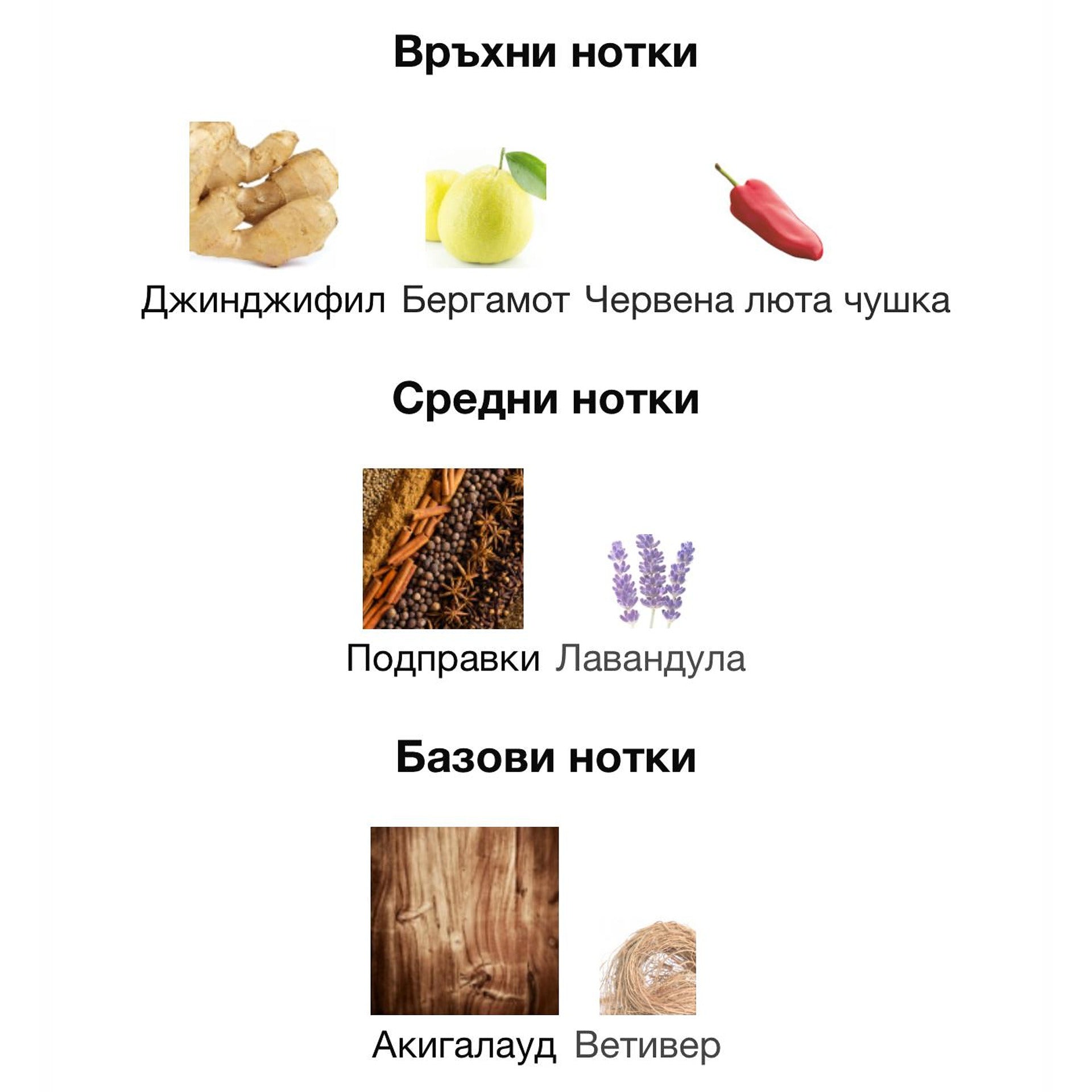 Armaf Private Key to My Success ExDP 100мл. – Armaf, мъжки аромат, Aroma Viva