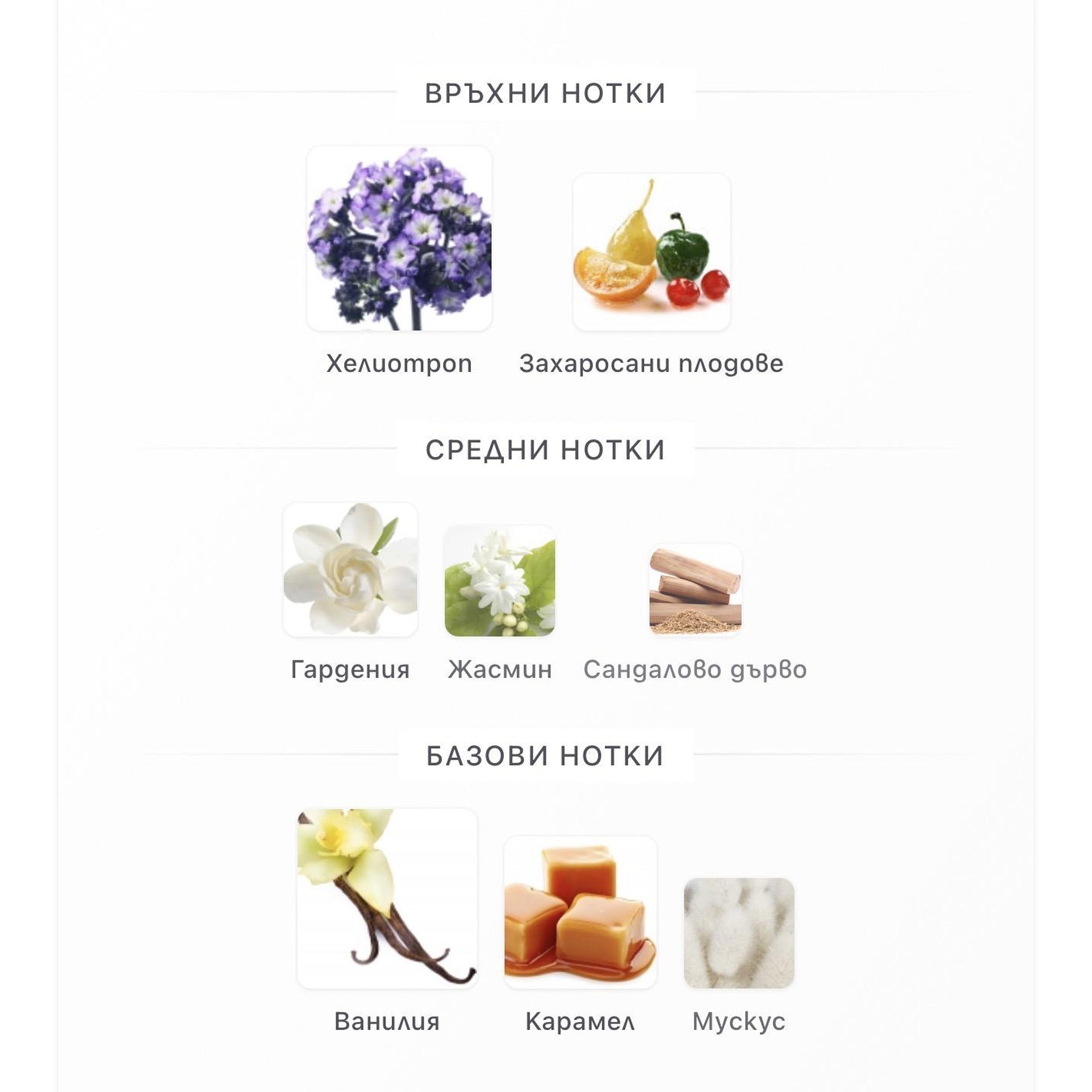 Fragrance World Bouquet of Euphoria EDP 100ml – оригинален парфюм, продуктова снимка 5