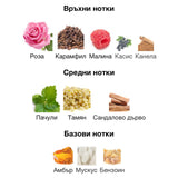 Fragrance World French Portrait EDP 100мл. – Fragrance World, дамски аромат, вдъхновен от Portrait of a Lady, Aroma Viva