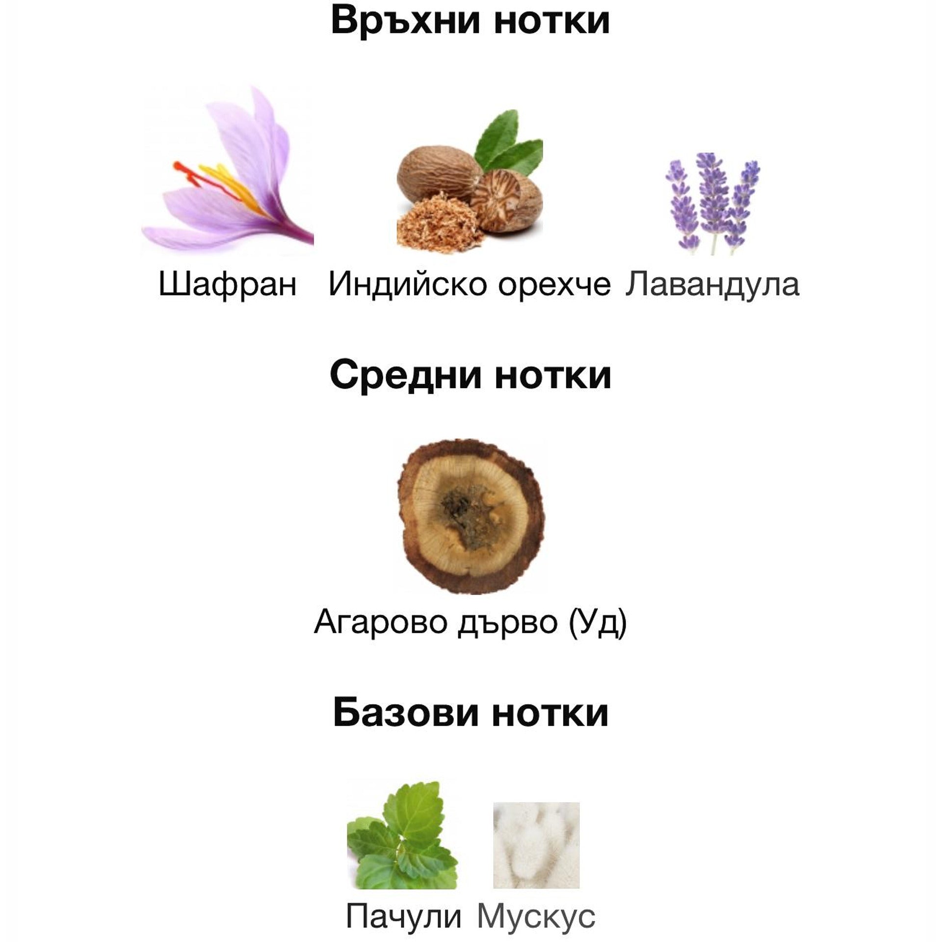 Minister of Oud Greatness ExDP 100мл. – PARIS CORNER, мъжки аромат, вдъхновен от Oud for Greatness, Aroma Viva