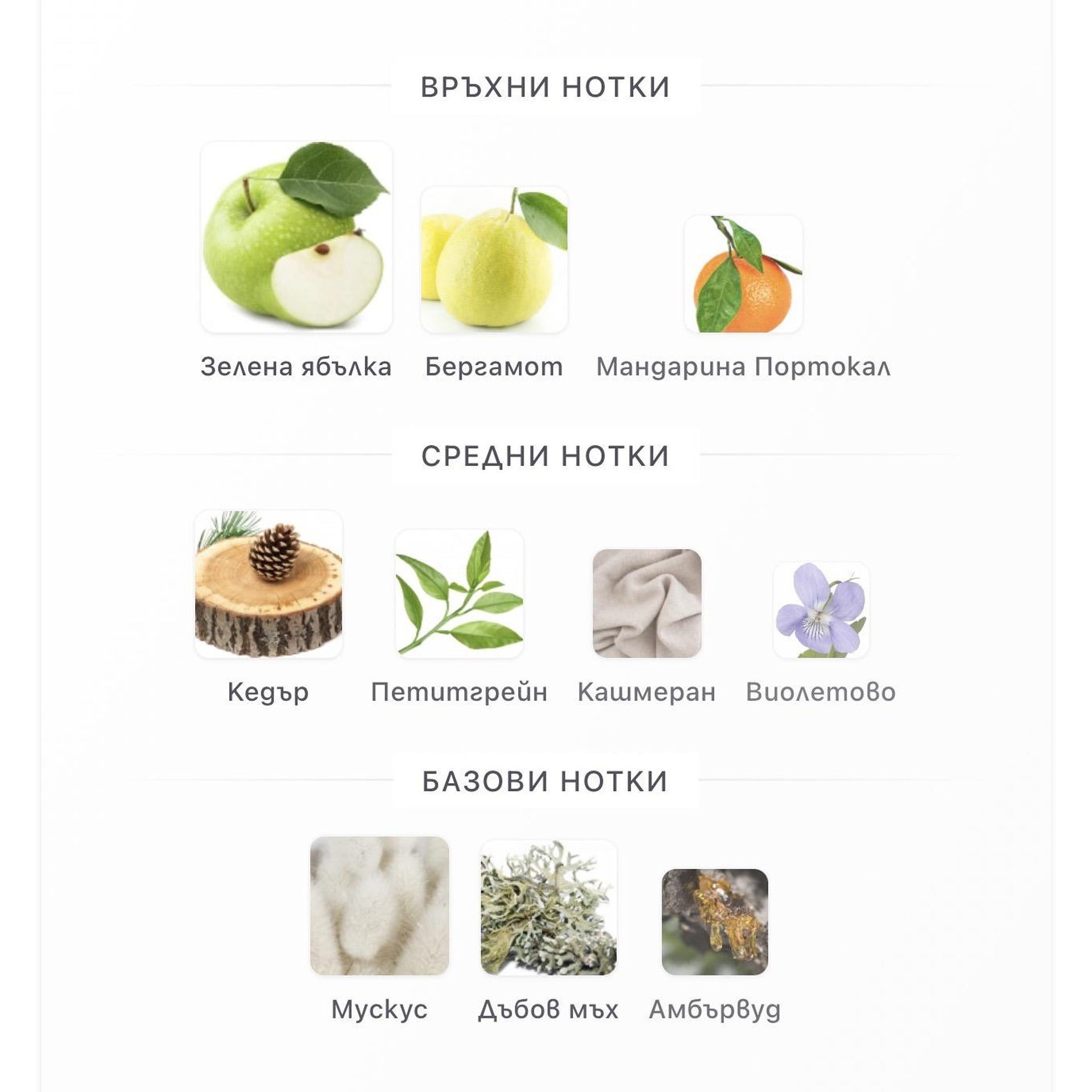 French Avenue Aether ExDP 100ml – French Avenue, мъжки аромат, вдъхновен от Greenley, Aroma Viva