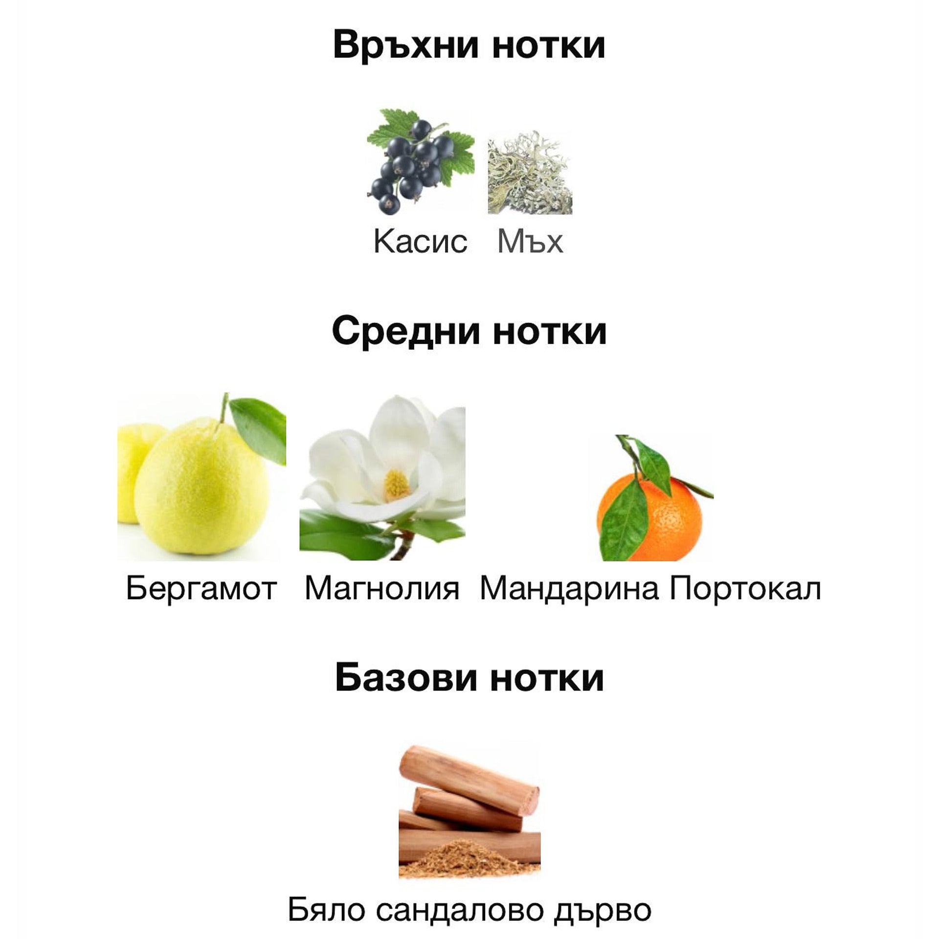 French Avenue Glorious Oud Royal Blanc ExDP 80мл. – French Avenue, унисекс аромат, вдъхновен от Musk Therapy, Aroma Viva