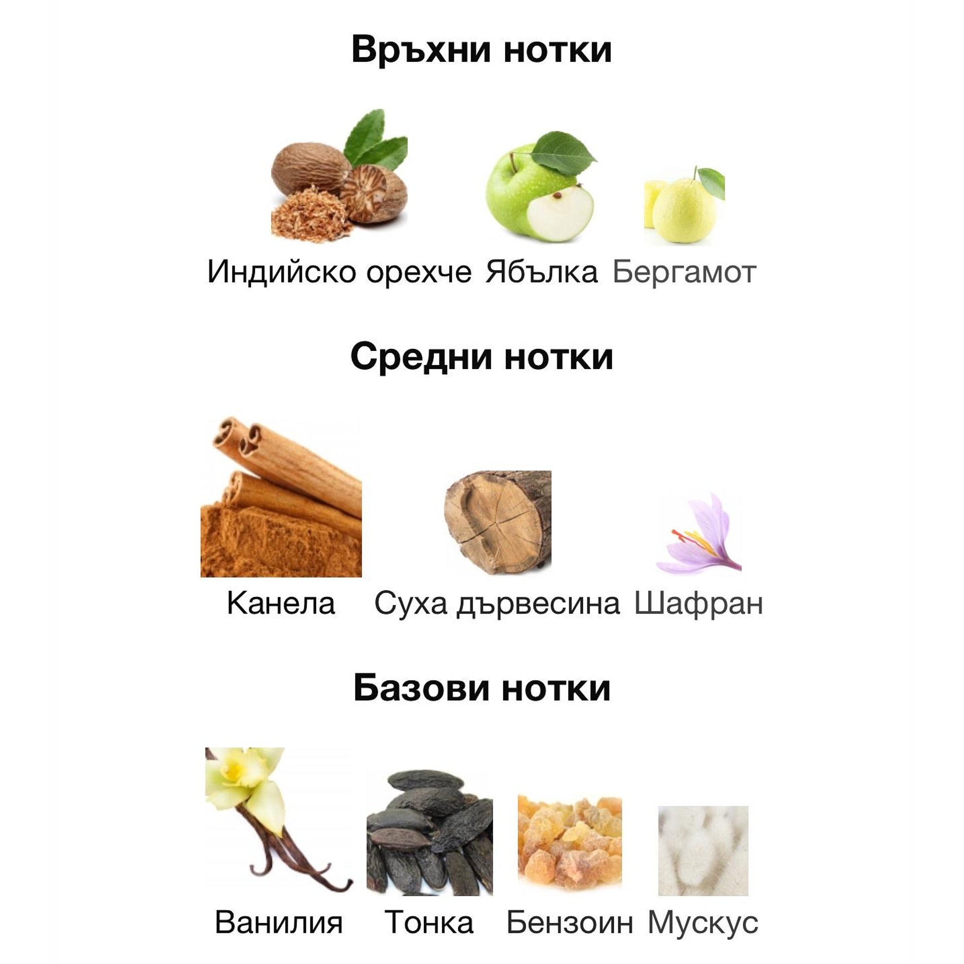 French Avenue Royal Blend Nero EDP 100мл. – French Avenue, унисекс аромат, вдъхновен от Sava, Aroma Viva