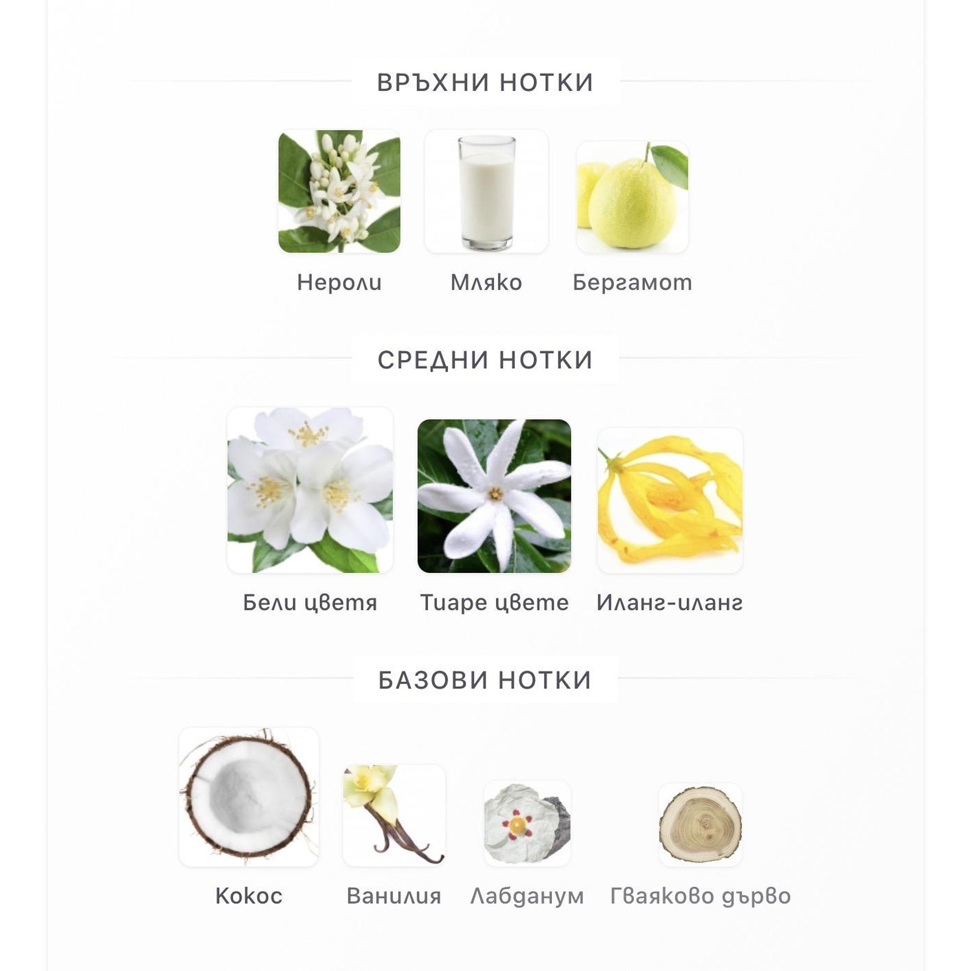 French Avenue Veneno Bianco EDP 100ml – French Avenue, дамски аромат, вдъхновен от Sunkissed Goddess, Aroma Viva