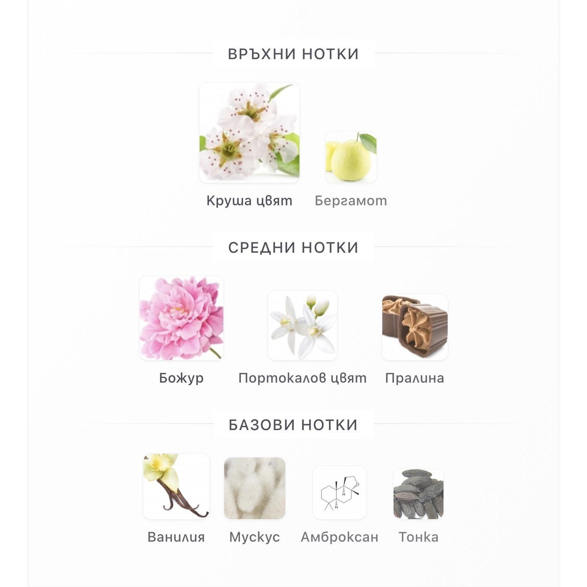 Lattafa Angham Second Song EDP 100ml – Lattafa, дамски аромат, Aroma Viva