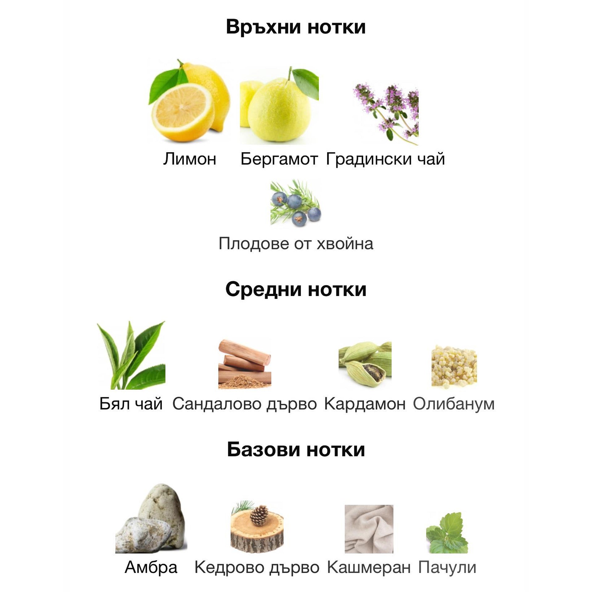 Lattafa Emeer EDP 100мл. – Lattafa, унисекс аромат, Aroma Viva
