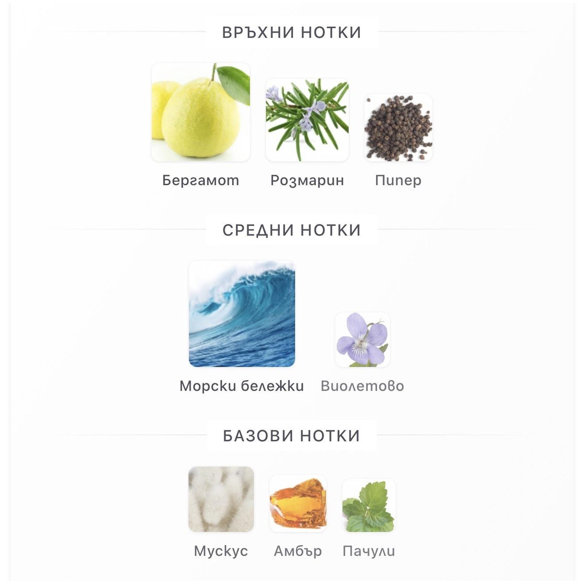 Lattafa Liam Blue Shine EDP 100мл. – Lattafa, мъжки аромат, вдъхновен от Acqua di Giò Profondo, Aroma Viva