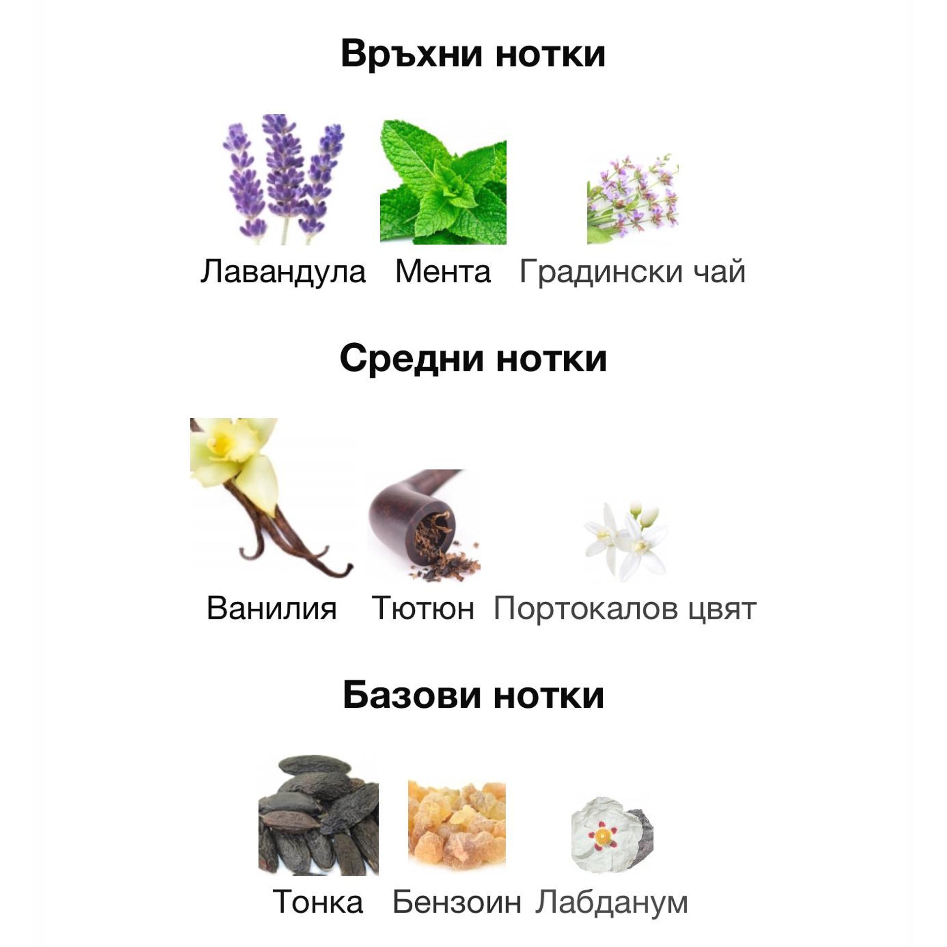 Lattafa The Kingdom EDP 100мл. – Lattafa, мъжки аромат, вдъхновен от Le Male Elixir, Aroma Viva