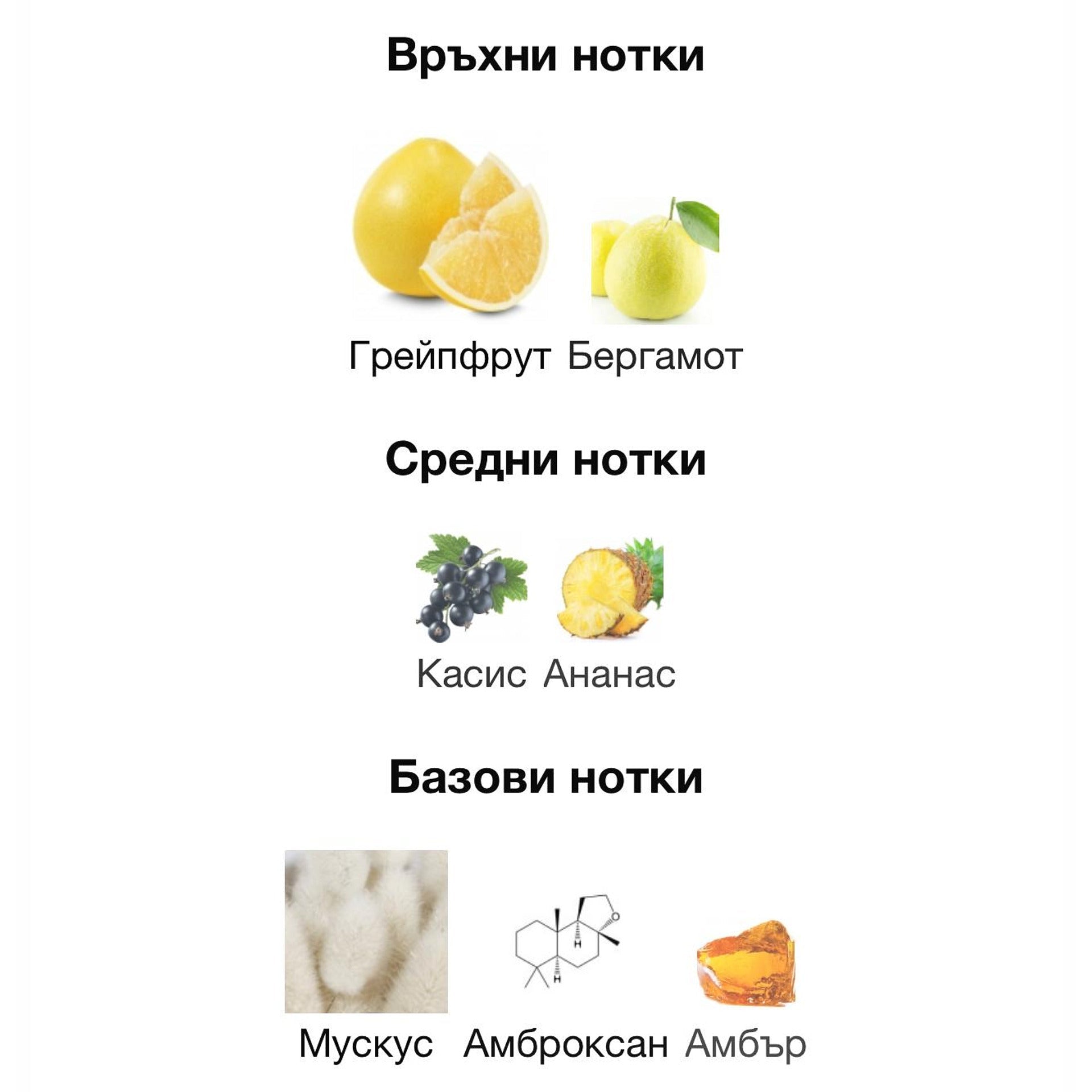 Orto Parisi Risvelium ExDP 50 мл. – оригинален парфюм, продуктова снимка 2