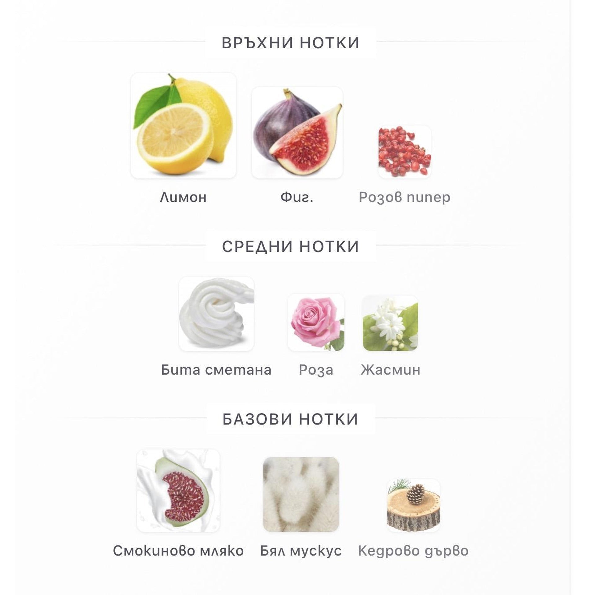 Paris Corner Perseviron Fig Hug EDP 100 мл. – оригинален парфюм, продуктова снимка 4