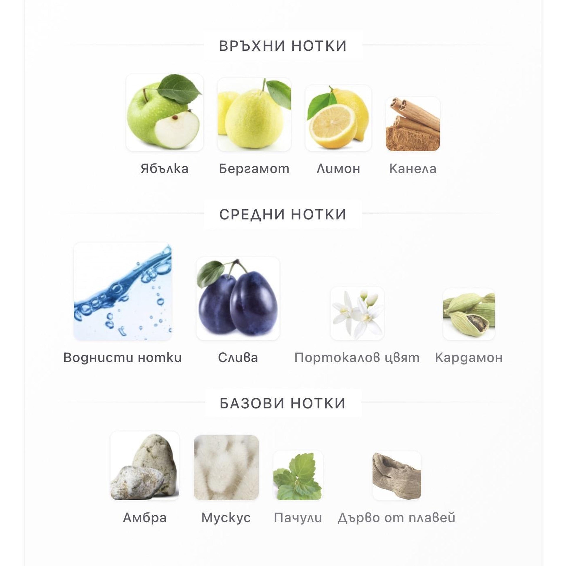 Rasasi Hawas EDP 100ml – Rasasi, мъжки аромат, вдъхновен от Invictus, Aroma Viva