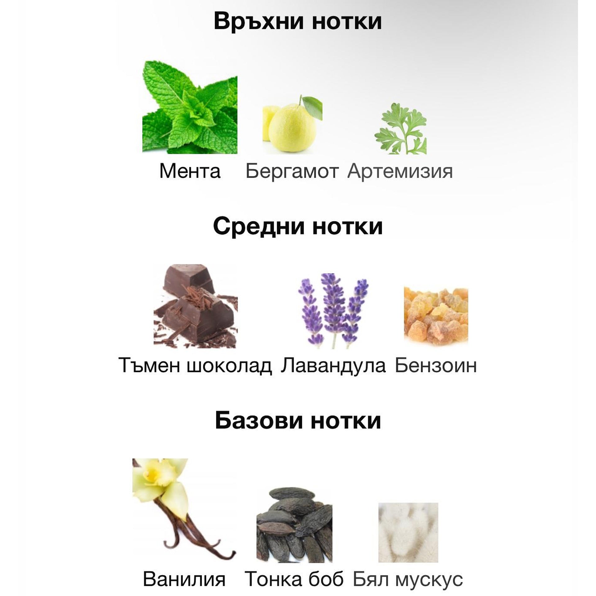 Rasasi Hawas Elixir EDP 100мл. – Rasasi, мъжки аромат, Aroma Viva