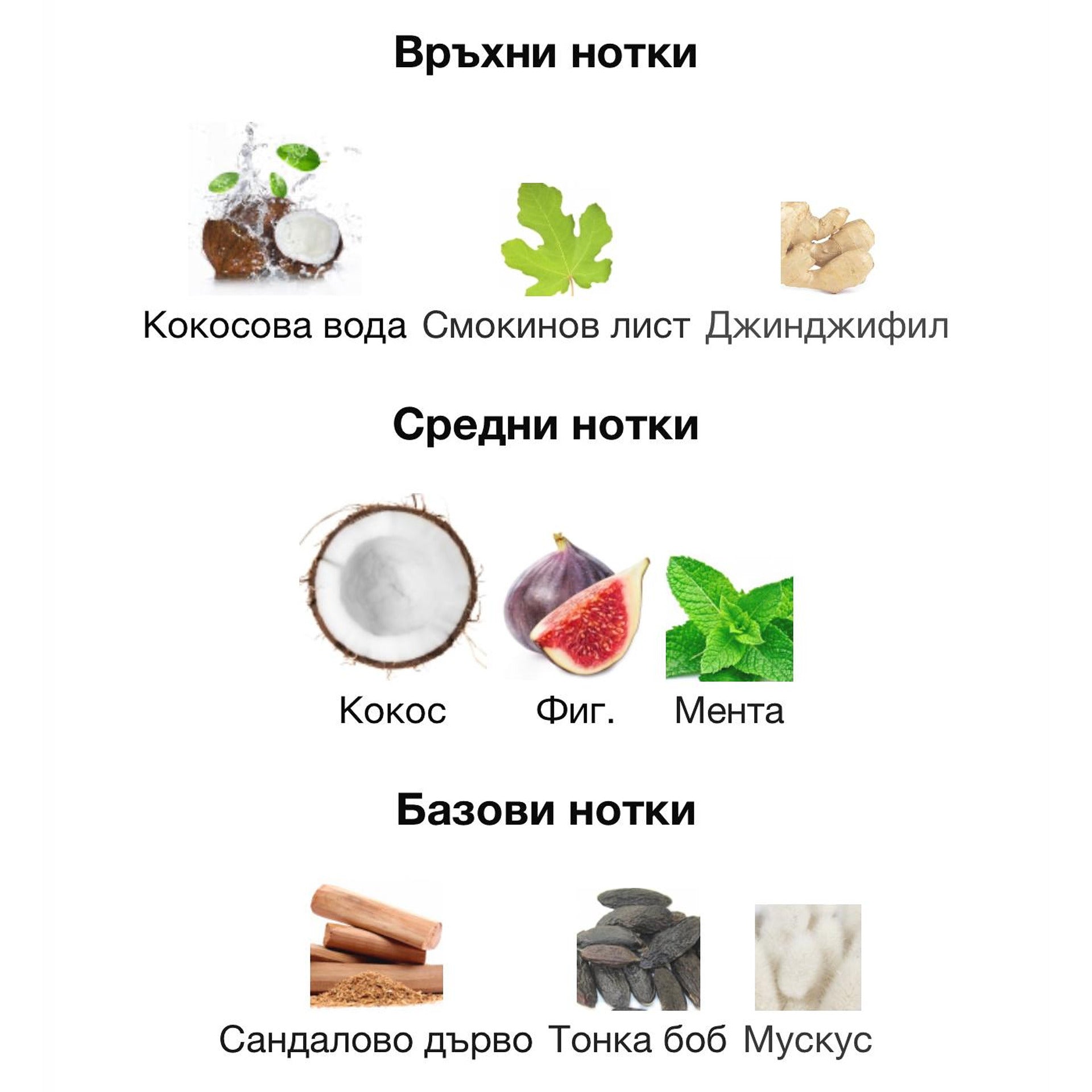 Rasasi Hawas Tropical EDP 100мл. – Rasasi, мъжки аромат, вдъхновен от Le Beau Paradise Garden, Aroma Viva