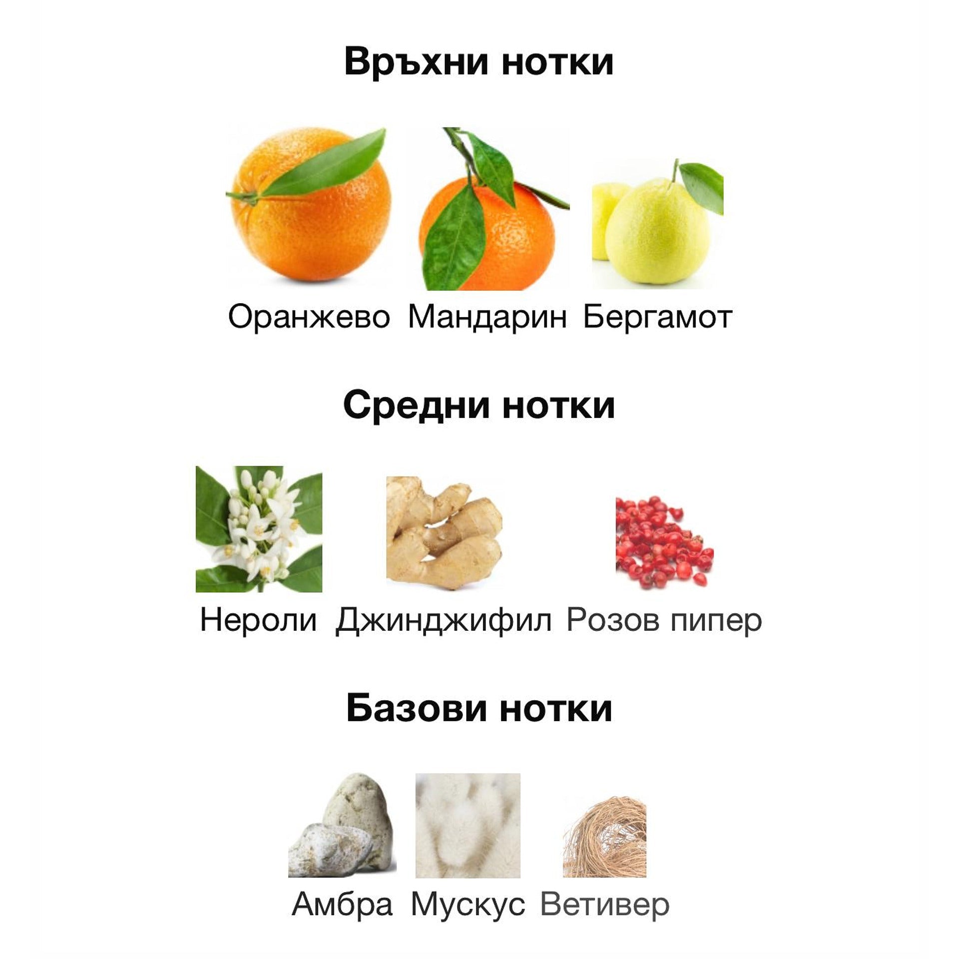 Rayhaan Adonis Icarus EDP 100 мл. – оригинален парфюм, продуктова снимка 4