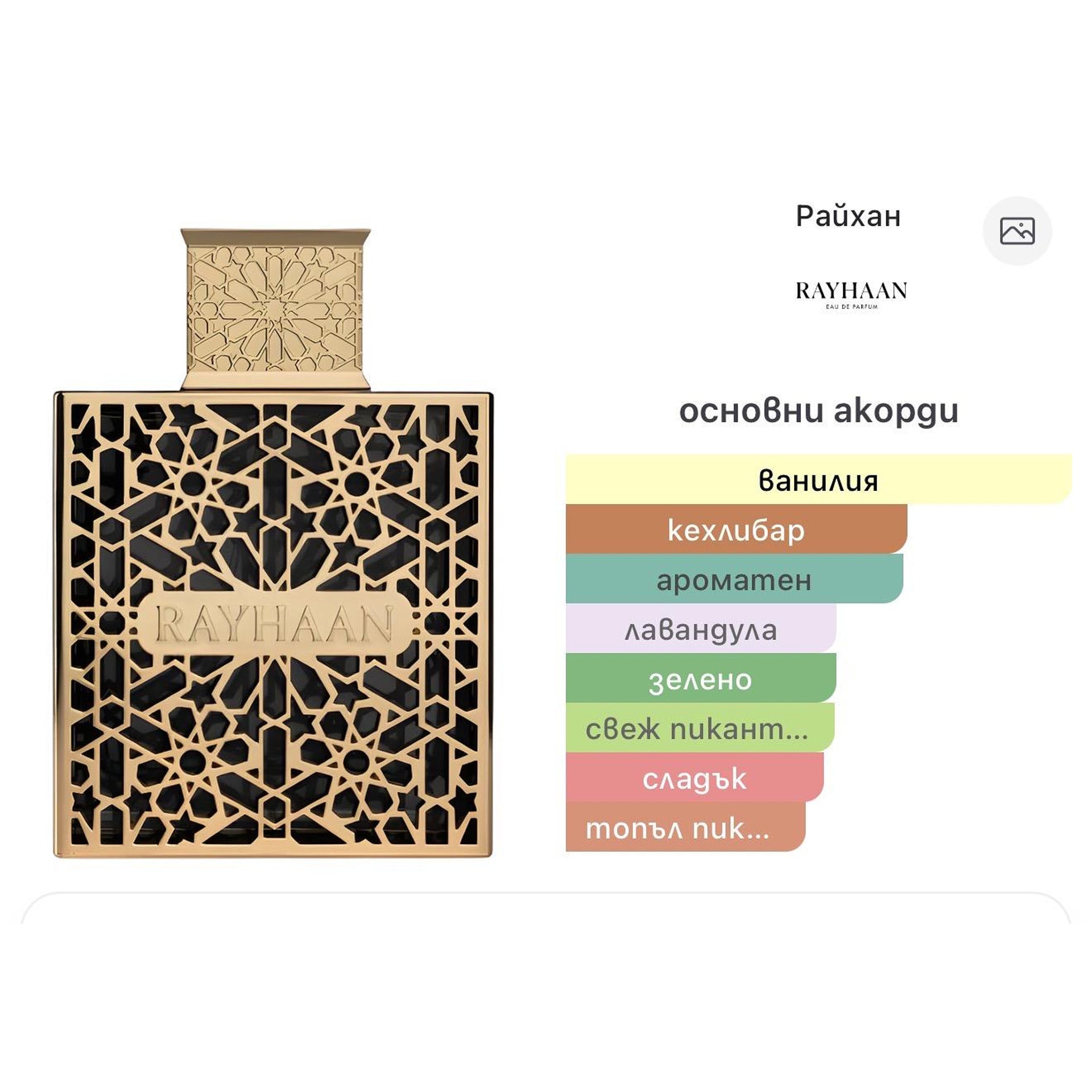 Rayhaan Elixir EDP 100ml – Rayhaan, мъжки аромат, вдъхновен от Le Male Elixir, Aroma Viva