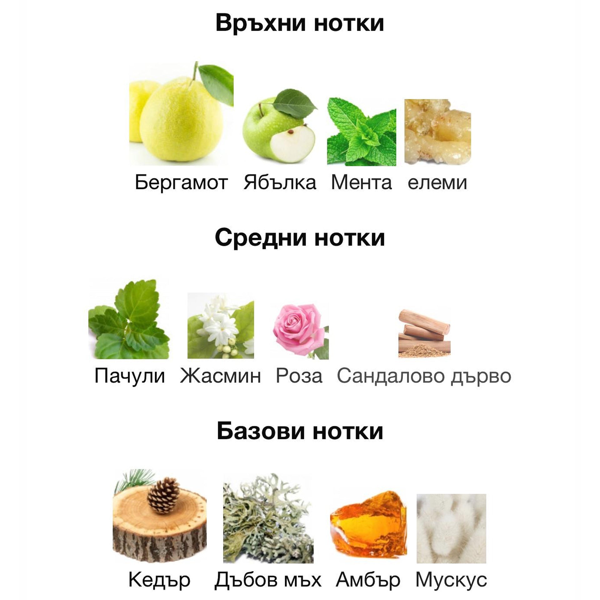 Rayhaan Imperia EDP 100 мл. – оригинален парфюм, продуктова снимка 5