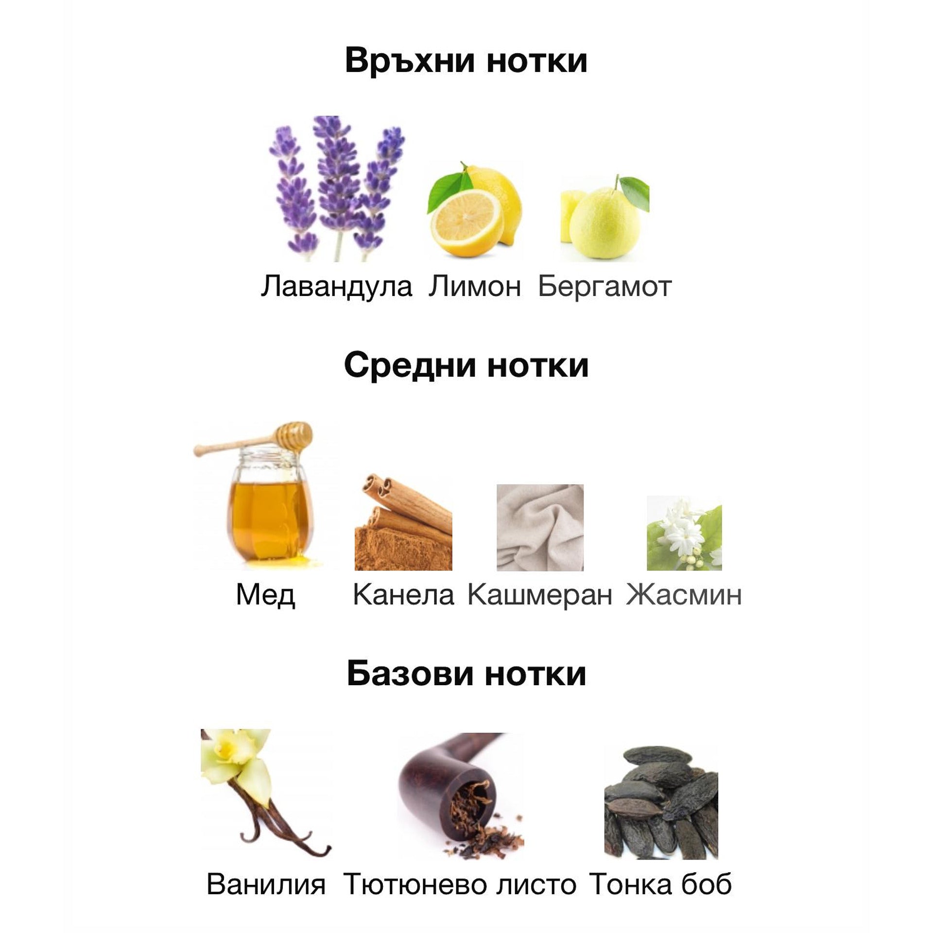 Rayhaan Italia EDP 100мл. – Rayhaan, мъжки аромат, Aroma Viva