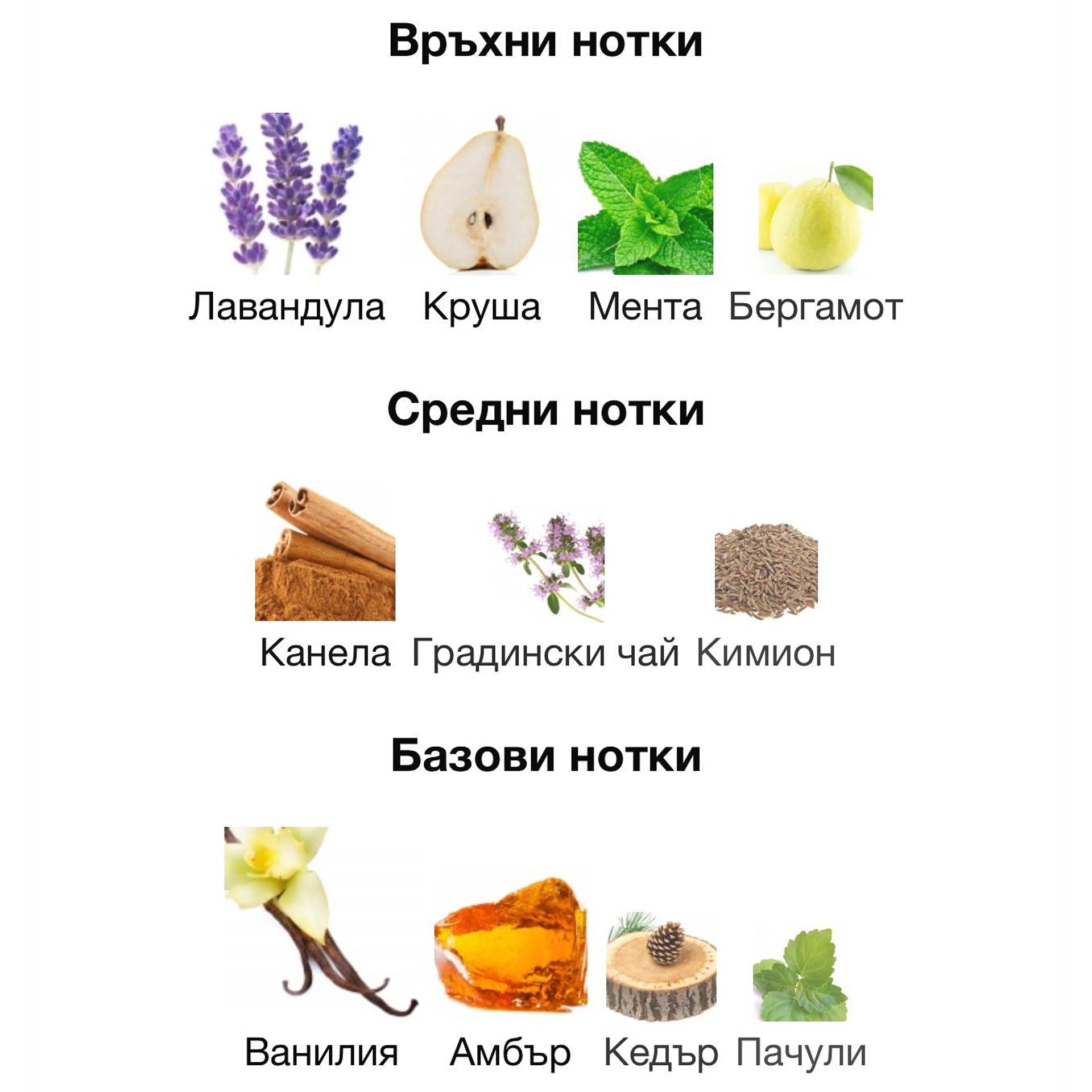 Rayhaan Lion EDP 100 мл. – оригинален парфюм, продуктова снимка 6