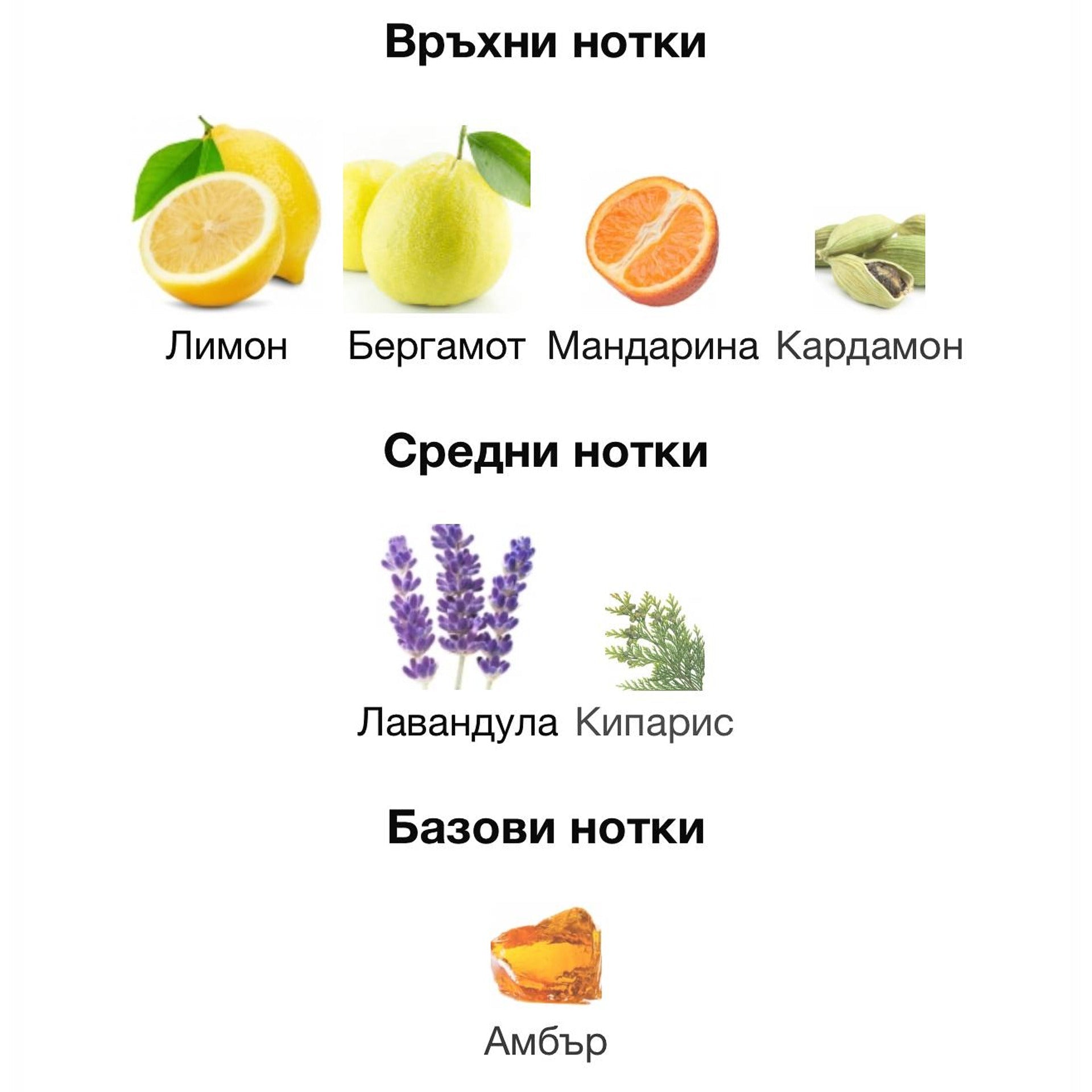 Rayhaan Pacific EDP 100 мл. – оригинален парфюм, продуктова снимка 5