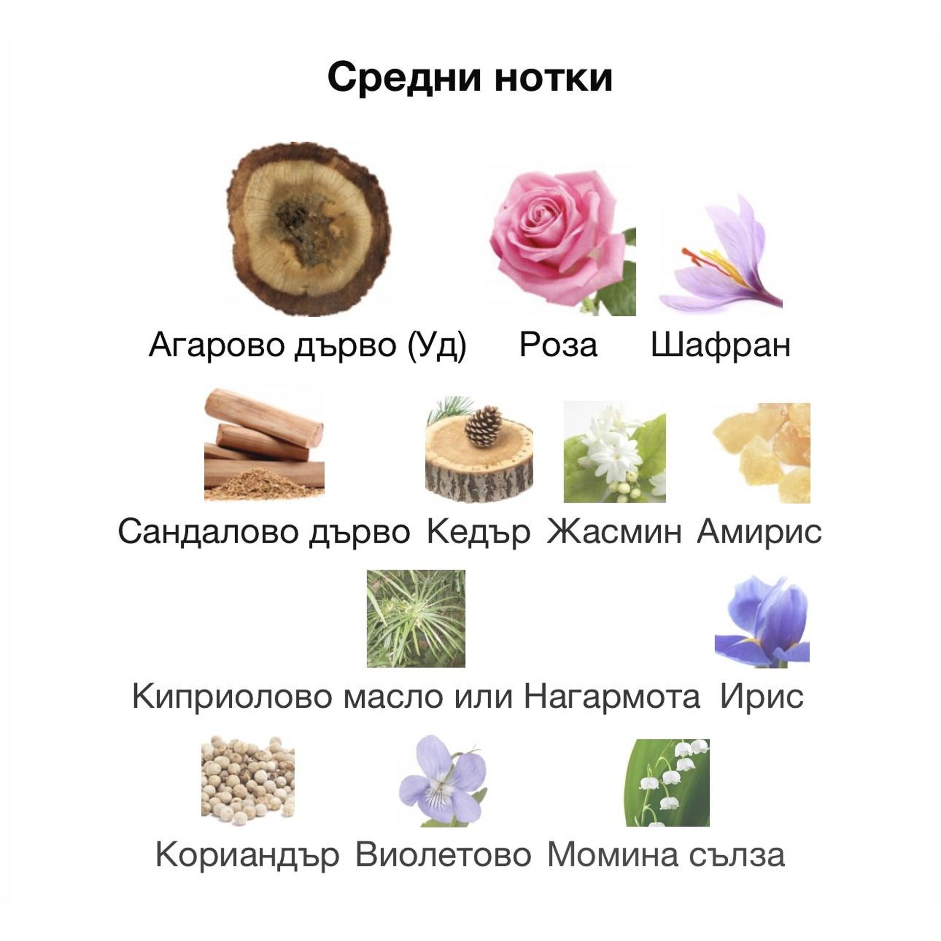 The Spirit of Dubai Turath EDP 50мл. – The Spirit of Dubai, Нишови парфюми, Aroma Viva