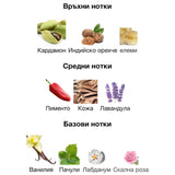 Afnan 9pm Elixir EDP 100 мл. – оригинален парфюм, продуктова снимка 5