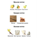 French Avenue Meringue EDP 100 мл. – оригинален парфюм, продуктова снимка 3