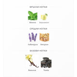 Rayhaan Elixir EDP 100ml – Rayhaan, мъжки аромат, вдъхновен от Le Male Elixir, Aroma Viva