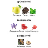 Rayhaan Nocturno EDP 100 мл. – оригинален парфюм, продуктова снимка 4